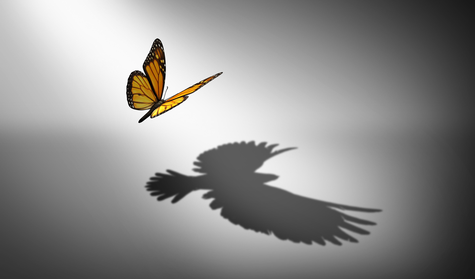 A butterfly flies in a dark grey void, casting a shadow in the shape of a flying bird.